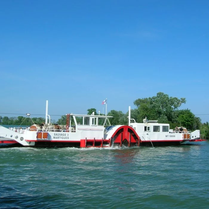 Barges_in_Camargue-01-qltk6iukpgy2cbdym521vy0olo154j75punpiaa0d4